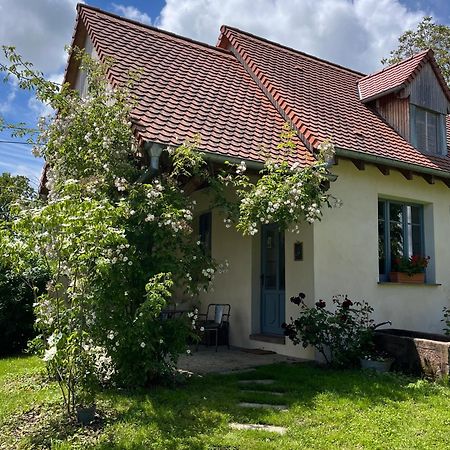 Studio De Charme Avec Terrasse Privee, Jardin Partage Bouxwiller  Zewnętrze zdjęcie