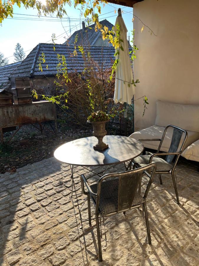 Studio De Charme Avec Terrasse Privee, Jardin Partage Bouxwiller  Zewnętrze zdjęcie